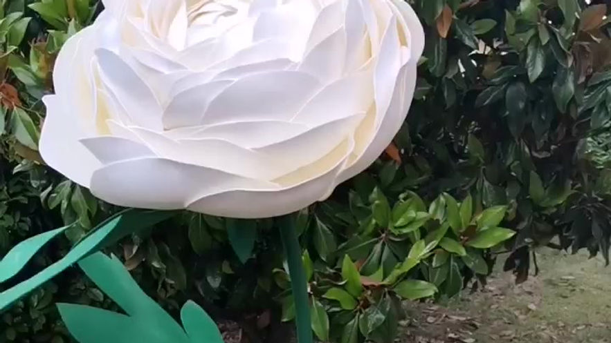 Peonie giganti
